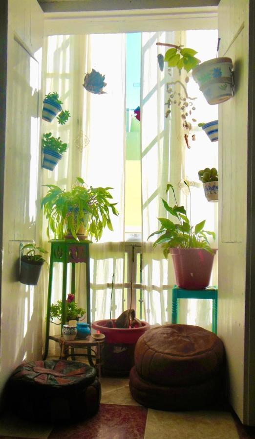 Habitaciones La Pepa 카디스 외부 사진